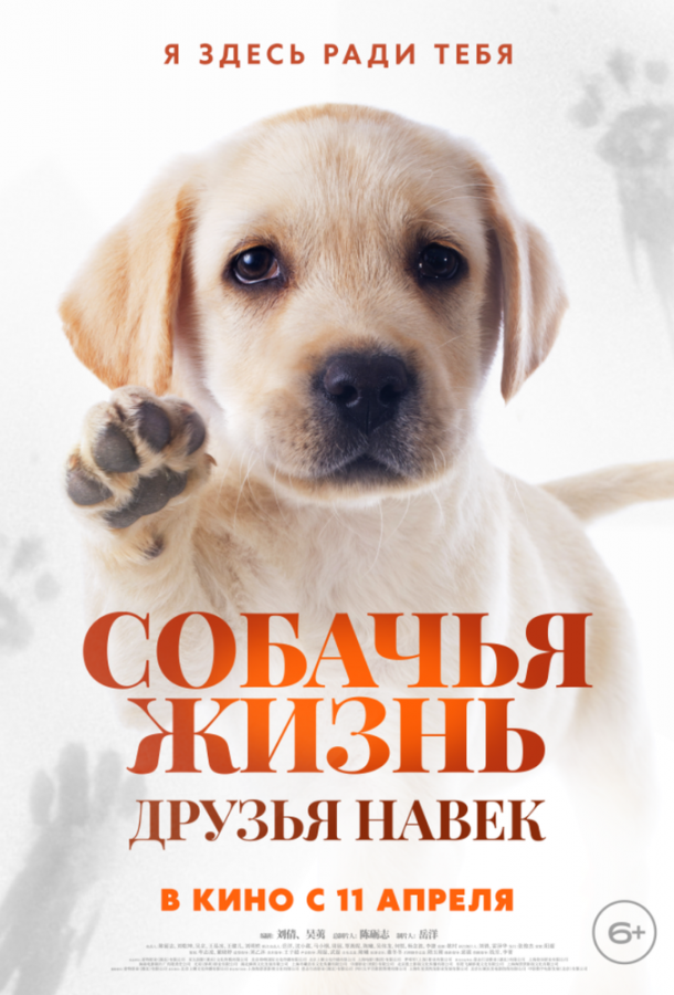 Собачья жизнь: Друзья навек 2023 Смотреть Онлайн Бесплатно в Хорошем Качестве